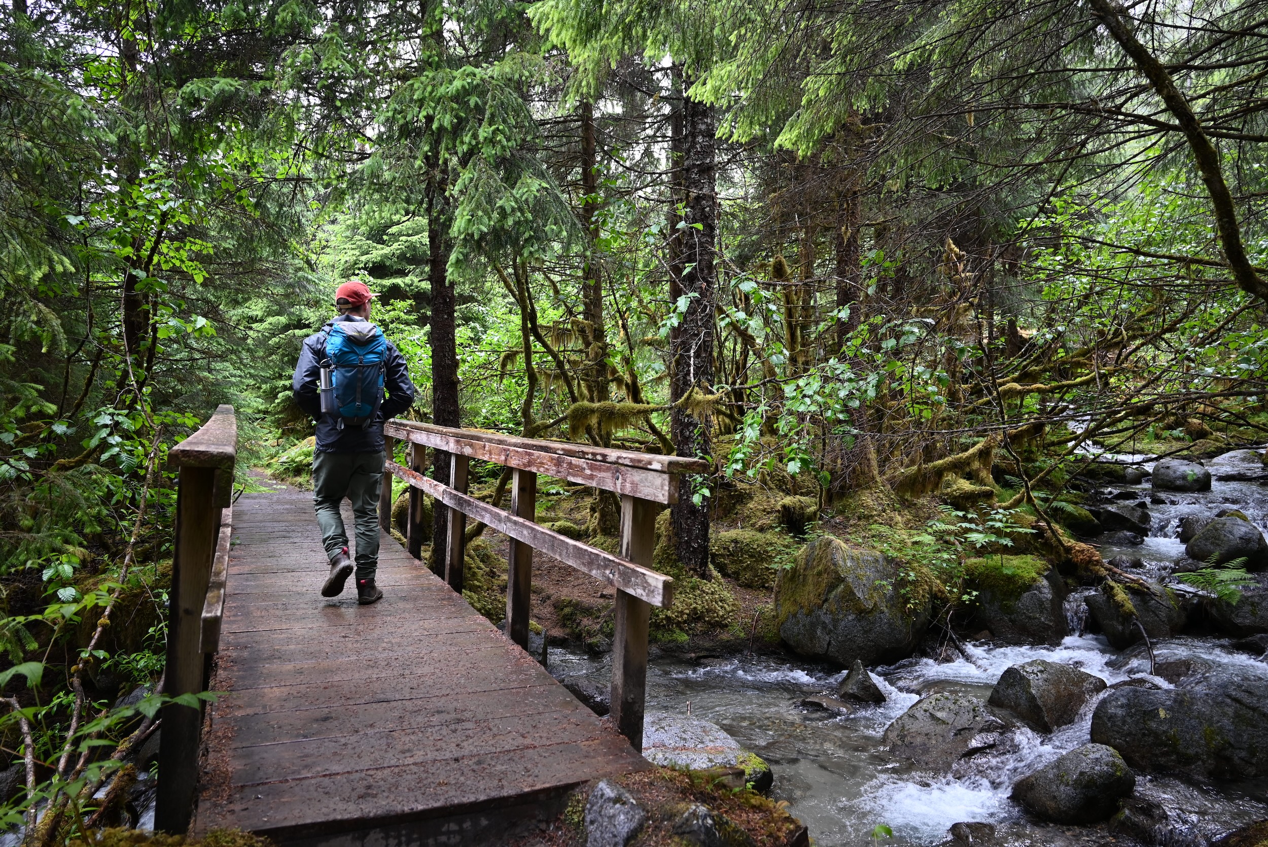 Olympic National Forest